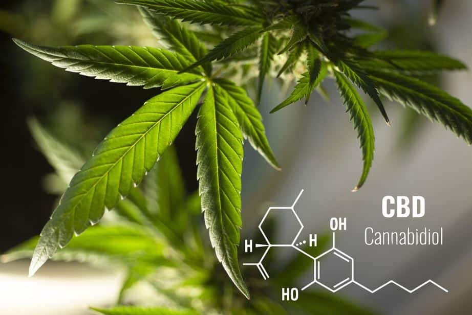 Common Types of CBD